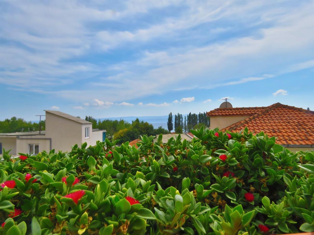 Apartments Zvone Omis Bagian luar foto